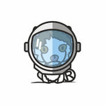 CASCO DA ASTRONAUTA